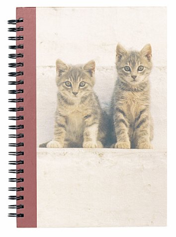 Stock image for Kittens in the Sun Journal for sale by Solomon's Mine Books