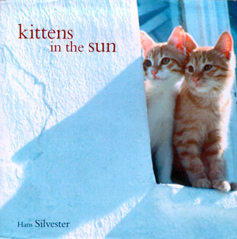 Imagen de archivo de Kittens in the Sun a la venta por Better World Books