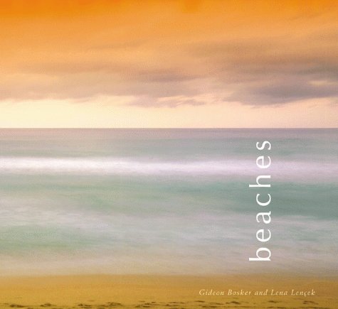 Imagen de archivo de Beaches a la venta por SecondSale