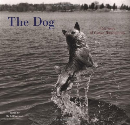 Imagen de archivo de The Dog : 100 Years of Classic Photography a la venta por Better World Books