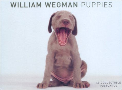 Puppies Postcard Box (9780811831826) by Wegman, William