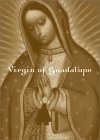 Pocket Saints: Virgin of Guadalupe (9780811834704) by Fay, Martha; Lee, Kathleen