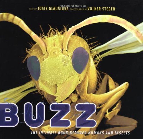 Beispielbild fr Buzz : The Intimate Bond Between Humans and Insects zum Verkauf von Better World Books