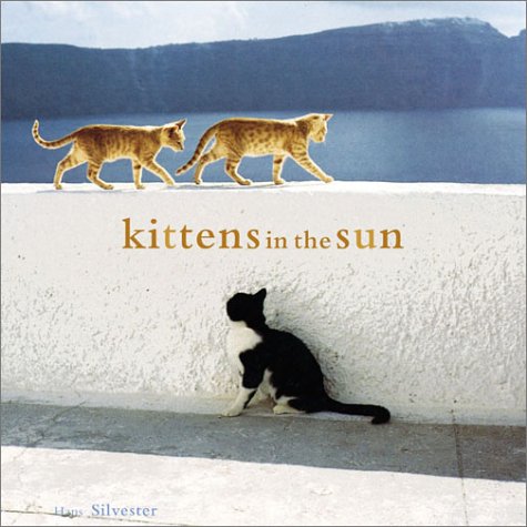 Beispielbild fr Kittens in the Sun zum Verkauf von Wonder Book