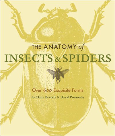 Stock image for The Anatomy of Insects & Spiders: Over 600 Exquisite Forms for sale by HPB Inc.