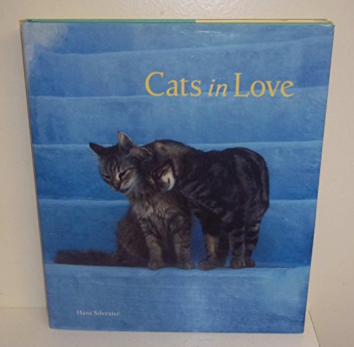 Beispielbild fr Cats in Love zum Verkauf von Wonder Book