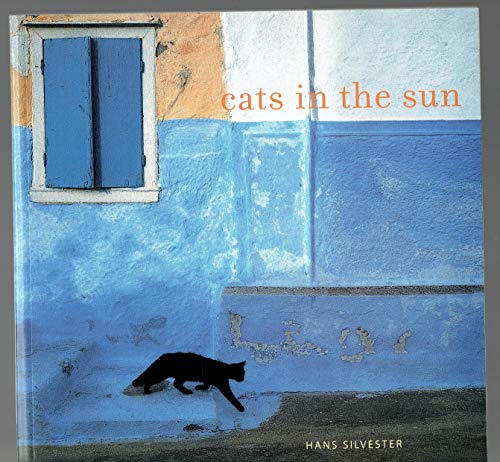 Beispielbild fr Cats in the Sun zum Verkauf von Wonder Book