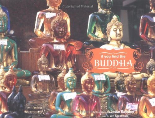 Beispielbild fr If You Find the Buddha zum Verkauf von HPB-Diamond