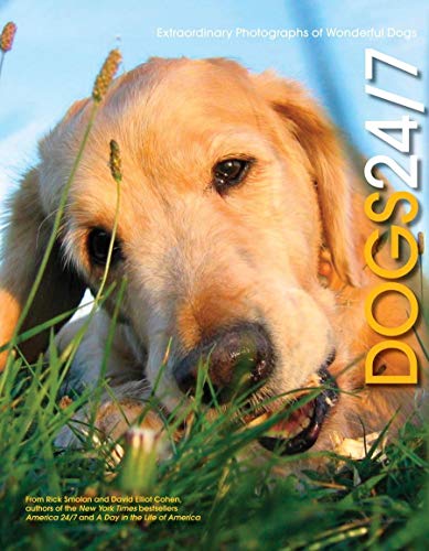 9780811848169: Dogs 24/7: Extraordinary Photographs Of Wonderful Dogs