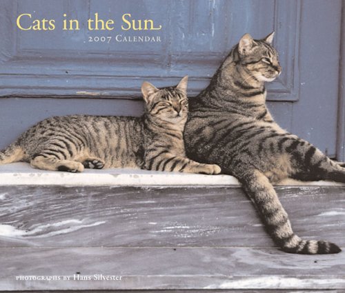Cats in the Sun 2007 Wall Calendar (9780811853330) by Silvester, Hans