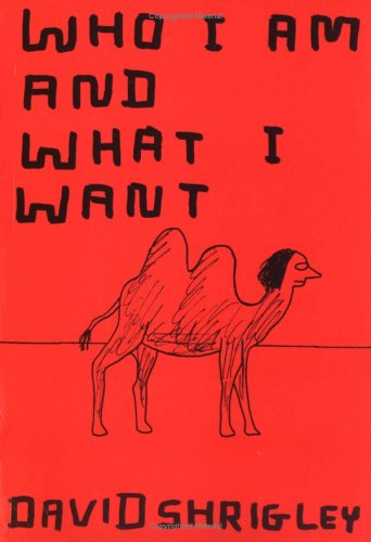 Who I Am and What I Want (9780811855303) by David Shrigley