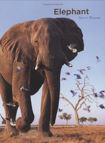 Beispielbild fr Elephant zum Verkauf von Better World Books