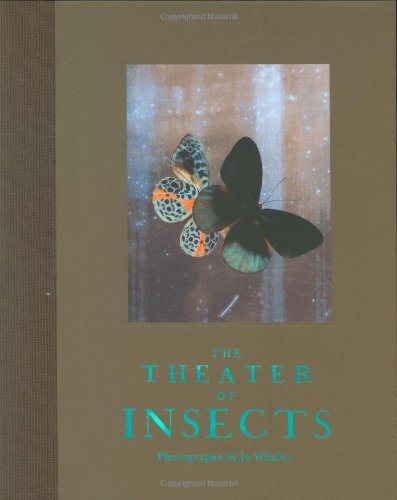 Imagen de archivo de The Theater of Insects a la venta por A Book Preserve