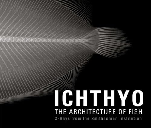 9780811861922: Ichthyo: The Architecture of Fish: X-rays from the Smithsonian Institute