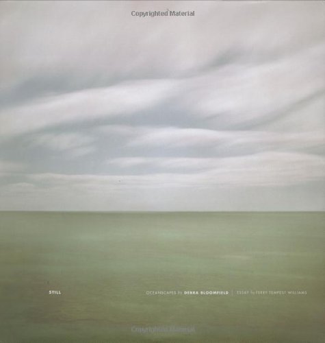 Imagen de archivo de Still: Oceanscapes a la venta por ThriftBooks-Atlanta