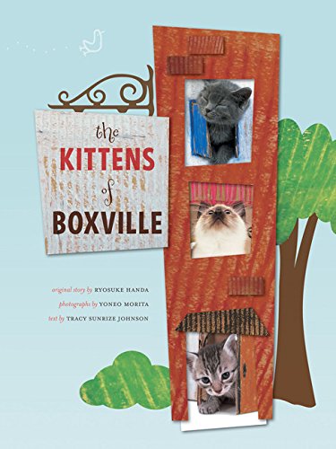 9780811866880: The Kittens of Boxville