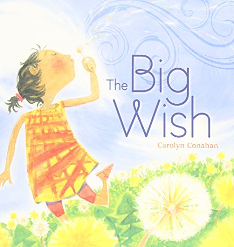 Stock image for The Big Wish for sale by Better World Books: West
