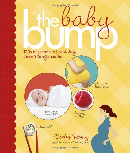 Beispielbild fr The Baby Bump: 100s of Secrets to Surviving Those 9 Long Months zum Verkauf von Orion Tech