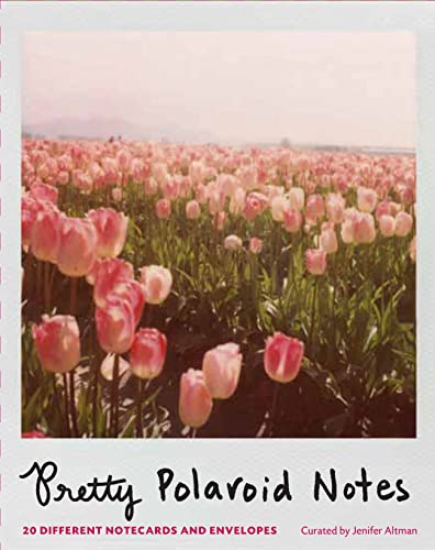 9780811879408: Pretty Polaroid Notes: 20 Different Notecards and Envelopes