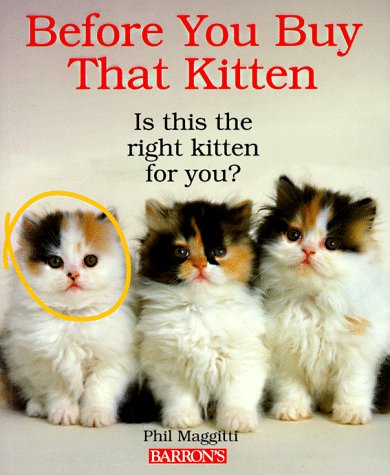 Imagen de archivo de Before You Buy That Kitten (Pet Healthcare) a la venta por More Than Words