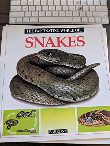 Beispielbild fr The Fascinating World of Snakes zum Verkauf von BooksRun