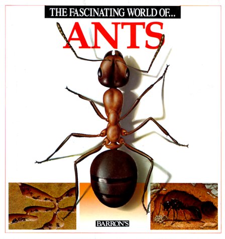 Stock image for The Fascinating World of Ants for sale by Gulf Coast Books