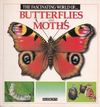 Beispielbild fr The Fascinating World of Butterflies and Moths zum Verkauf von Wonder Book