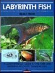 9780812056358: Labyrinth Fish (English and German Edition)