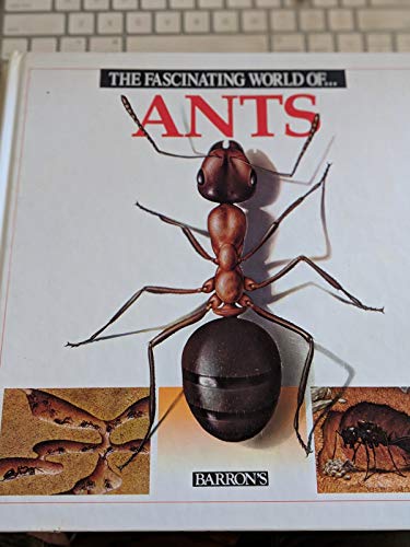 Imagen de archivo de The Fascinating World Of.Ants a la venta por HPB-Ruby