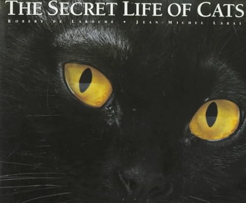 Beispielbild fr The Secret Life of Cats zum Verkauf von Better World Books