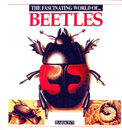 Beispielbild fr The Fascinating World of Beetles zum Verkauf von SecondSale