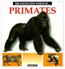 Imagen de archivo de The Fascinating World of Primates a la venta por ThriftBooks-Atlanta