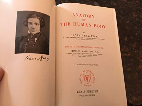 Stock image for Gray's Anatomy: Anatomy of the Human Body, 28th Edition for sale by ThriftBooks-Atlanta