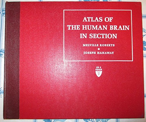 Imagen de archivo de Atlas of the human brain in section a la venta por HPB-Red