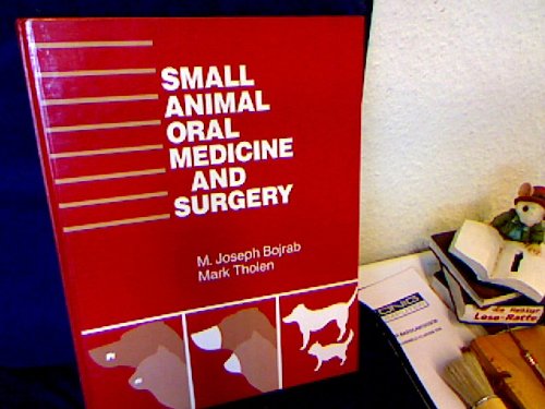 Stock image for Small Animal Oral Medicine and Surgery for sale by HPB-Red