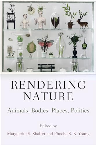 Imagen de archivo de Rendering Nature a la venta por Blackwell's