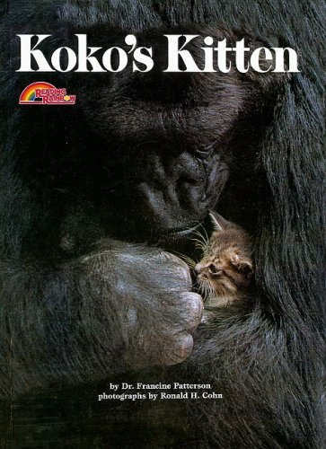 Beispielbild fr Koko's Kitten zum Verkauf von The Book Spot