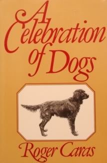 Imagen de archivo de A celebration of dogs a la venta por Wonder Book