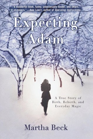 Stock image for Expecting Adam: A True Story of Birth, Rebirth, and Everyday Magic for sale by Campbell Bookstore