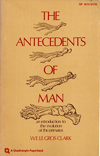 9780812962963: Antecedents of Man: An Introduction to the Evolution of Primates