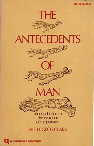 Stock image for The Antecedents of Man: An Introduction to the Evolution of Primates for sale by ThriftBooks-Dallas