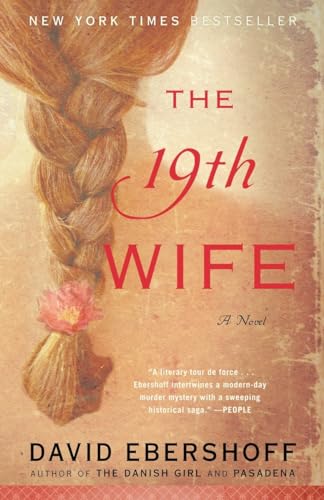 Stock image for The 19th Wife: A Novel for sale by Gulf Coast Books
