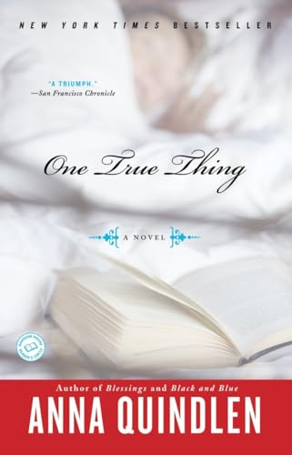 Imagen de archivo de One True Thing: A Novel a la venta por SecondSale