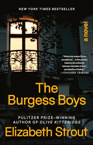 Stock image for The Burgess Boys: A Novel for sale by SecondSale