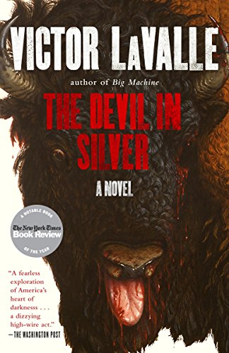 Imagen de archivo de The Devil in Silver : A Novel a la venta por Better World Books