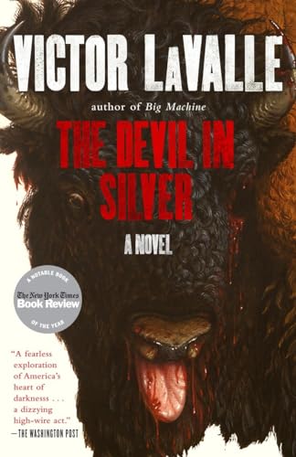 9780812982251: The Devil in Silver: A Novel