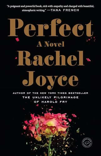 Beispielbild fr Perfect: A Novel zum Verkauf von Jenson Books Inc