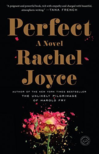 Stock image for Perfect: A Novel for sale by Jenson Books Inc
