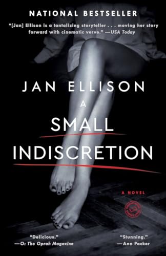 Imagen de archivo de A Small Indiscretion: A Novel a la venta por SecondSale