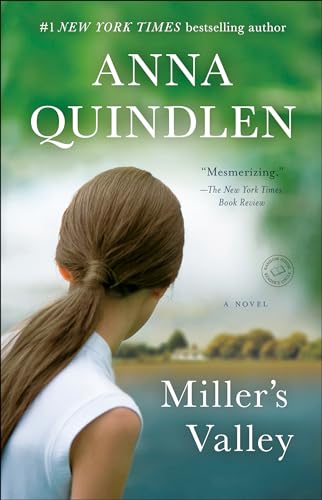 9780812985900: Miller's Valley: A Novel